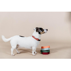 Jacquard-Hundehalsband Kentucky Terrakotta Orange Jacquard-Hundehalsband Kentucky Terrakotta Orange
