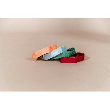 Jacquard-Hundehalsband Kentucky Jacquard-Hundehalsband Kentucky