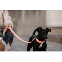 Jacquard-Hundehalsband Kentucky Neonorange