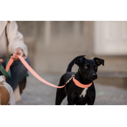 Jacquard-Hundehalsband Kentucky Neonorange