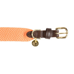 Jacquard-Hundehalsband Kentucky Neonorange Jacquard-Hundehalsband Kentucky Neonorange