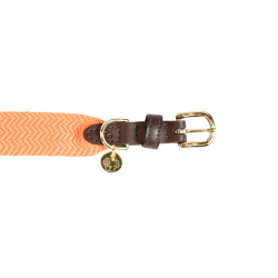 Jacquard-Hundehalsband Kentucky Neonorange