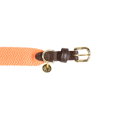 Jacquard-Hundehalsband Kentucky Neonorange