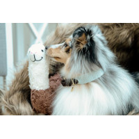 Jacquard-Hundehalsband Kentucky Terrakotta Orange