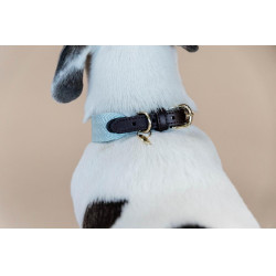 Jacquard-Hundehalsband Kentucky Hellblau