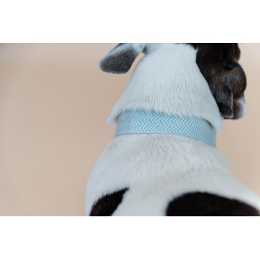 Jacquard-Hundehalsband Kentucky Hellblau