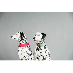 Jacquard-Hundehalsband Kentucky Olivgrün Gr&amp;amp;amp;amp;amp;amp;amp;amp;uuml;n