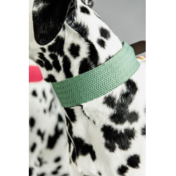 Jacquard-Hundehalsband Kentucky Olivgrün Gr&amp;amp;amp;amp;amp;amp;amp;amp;uuml;n