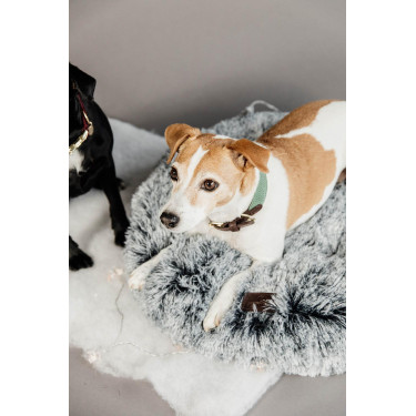 Jacquard-Hundehalsband Kentucky Olivgrün Gr&amp;amp;amp;amp;amp;amp;amp;amp;uuml;n