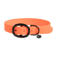 new Neonorange new Neonorange