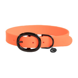 new Neonorange new Neonorange