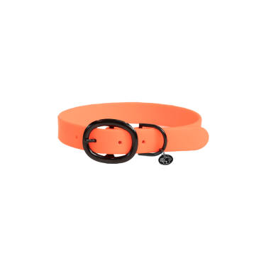 new Neonorange new Neonorange