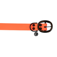 new Neonorange new Neonorange