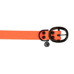 new Neonorange new Neonorange