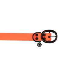 new Neonorange new Neonorange