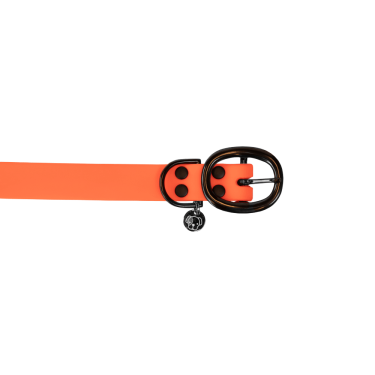 new Neonorange new Neonorange