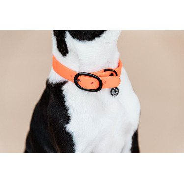 new Neonorange new Neonorange