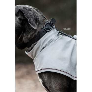 new Schwarz new Schwarz