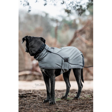 new Schwarz new Schwarz