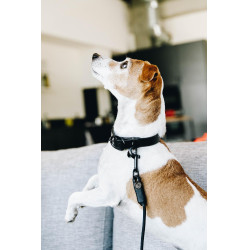 new Schwarz new Schwarz