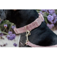 Kentucky Teddy Fleece Hundehalsband Tannengrün Grün Kentucky Teddy Fleece Hundehalsband Tannengrün Grün