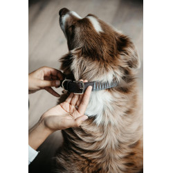 Hundehalsband Triangle Kentucky Hundehalsband Triangle Kentucky