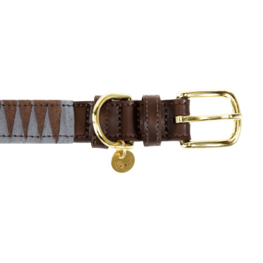 Hundehalsband Triangle Kentucky Braun