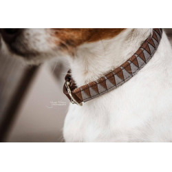 Hundehalsband Triangle Kentucky Hundehalsband Triangle Kentucky