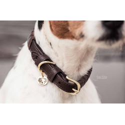 Hundehalsband Triangle Kentucky Hundehalsband Triangle Kentucky