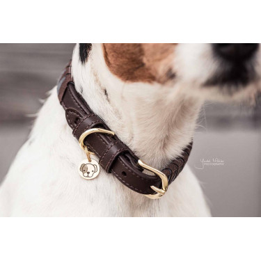 Hundehalsband Triangle Kentucky Hundehalsband Triangle Kentucky