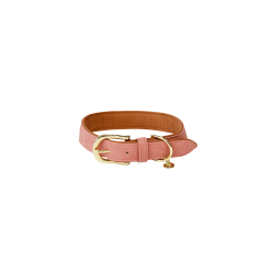 Hundehalsband Vegan Leather Kentucky Pfirsich Rosa Hundehalsband Vegan Leather Kentucky Pfirsich Rosa