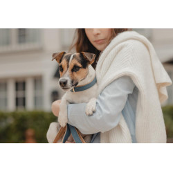 Hundehalsband Vegan Leather Kentucky Marineblau Hundehalsband Vegan Leather Kentucky Marineblau
