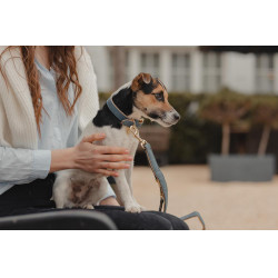 Hundehalsband Vegan Leather Kentucky Marineblau Hundehalsband Vegan Leather Kentucky Marineblau