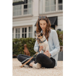 Hundehalsband Vegan Leather Kentucky Marineblau Hundehalsband Vegan Leather Kentucky Marineblau