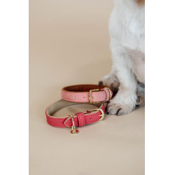 Hundehalsband Vegan Leather Kentucky Rot