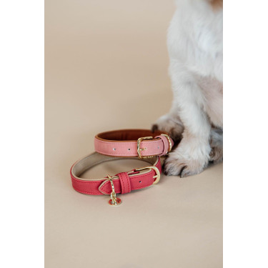 Hundehalsband Vegan Leather Kentucky Rot