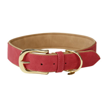 Hundehalsband Vegan Leather Kentucky Rot