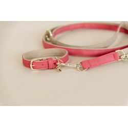 Hundehalsband Vegan Leather Kentucky Rot