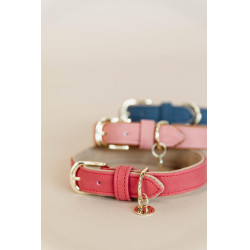 Hundehalsband Vegan Leather Kentucky Rot