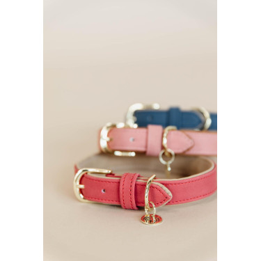 Hundehalsband Vegan Leather Kentucky Rot
