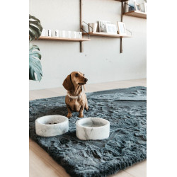 Collier pour chien Wool Kentucky Beige