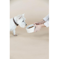Gamelle pour chien en pierre Terrazzo Kentucky Beige Gamelle pour chien en pierre Terrazzo Kentucky Beige
