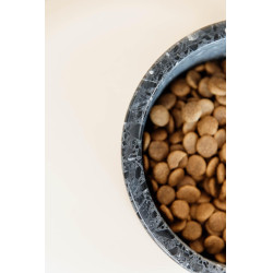 Hundenapf aus Terrazzo-Stein Kentucky Schwarz