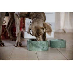 Hundenapf Marmor Kentucky Tannengrün Gr&uuml;n