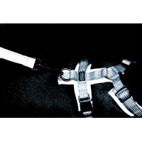 Aktives reflektierendes Hundegeschirr Kentucky Silber