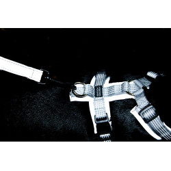 Harnais pour chien Active Reflective Kentucky Argent