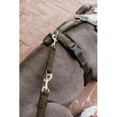 Hundegeschirr Active Teddy Fleece Kentucky Tannengrün Hundegeschirr Active Teddy Fleece Kentucky Tannengrün