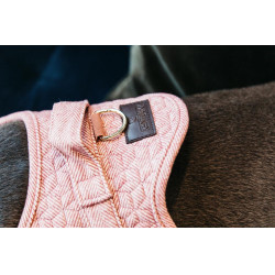 Hundegeschirr Body Safe Wool Kentucky Hundegeschirr Body Safe Wool Kentucky