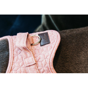 Hundegeschirr Body Safe Wool Kentucky Hundegeschirr Body Safe Wool Kentucky