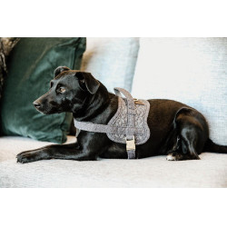Hundegeschirr Body Safe Wool Kentucky Grau Hundegeschirr Body Safe Wool Kentucky Grau